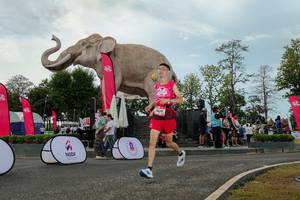 BIB: 
                            <button type="button" onclick="openModal(26528918)" class="btn btn-primary btn-sm float-right btn-popup" data-toggle="modal" data-target=".modal-high-quality">
                        <i class="fas fa-shopping-cart"></i> Add to Cart
                    </button>
                                            <button type="button" onclick="isThisMe(26528918, true)" class="btn btn-success btn-sm float-right btn-popup btn-isme hidden" data-toggle="tooltip" data-placement="bottom" title="นี่คือรูปของคุณใช่ไหม คลิกที่นี่เพื่อเอาเข้าอัลบั้ม">
                        <i class="fas fa-plus"></i> Add to album
                    </button>
                    <button type="button" onclick="isThisMe(26528918, false)" class="btn btn-warning btn-sm float-right btn-popup btn-isnotme hidden">
                        <i class="fas fa-ban"></i> Remove from album
                    </button>